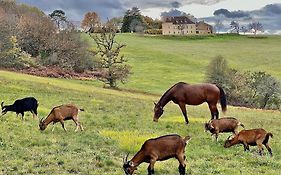 Domaine De Cazal - Gite 2 Pers Avec Piscine Au Coeur De 26 Hectares De Nature Preservee