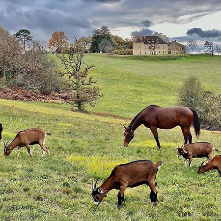 Domaine De Cazal - Gite 2 Pers Avec Piscine Au Coeur De 26 Hectares De Nature Preservee Saint-Cyprien  Exterior foto